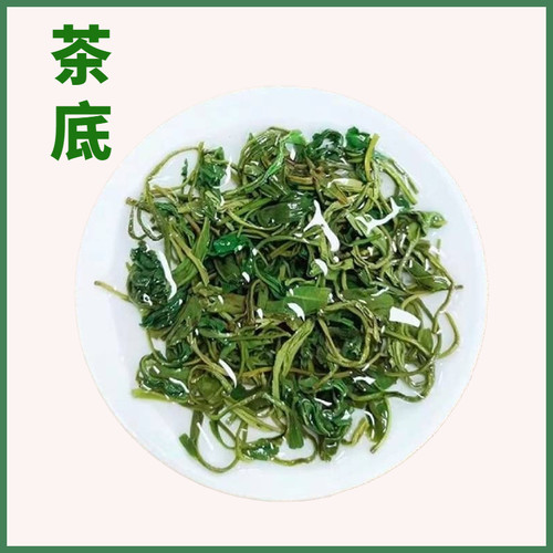 广东惠州博罗柏塘山茶明前高山手工炒青茶浓香型潮汕绿茶茶叶送礼-图1