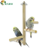 Пеппер деревянные попугай стойка