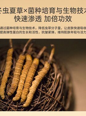冬虫夏草贵妇膏素颜霜提亮