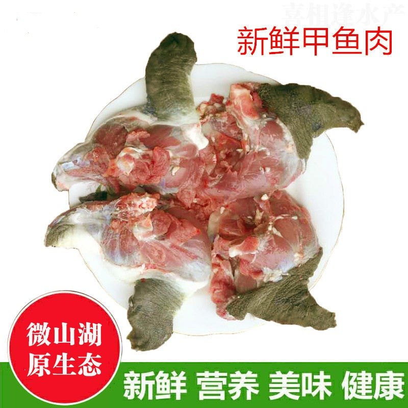 ［微山湖外塘甲鱼］生态老鳖中华鳖团鱼水鱼王八外塘外塘野养食用,淘宝优惠券,粉丝福利购,淘宝优惠卷