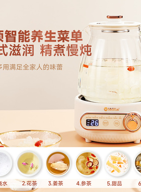 德国家用小型煮茶器养生壶