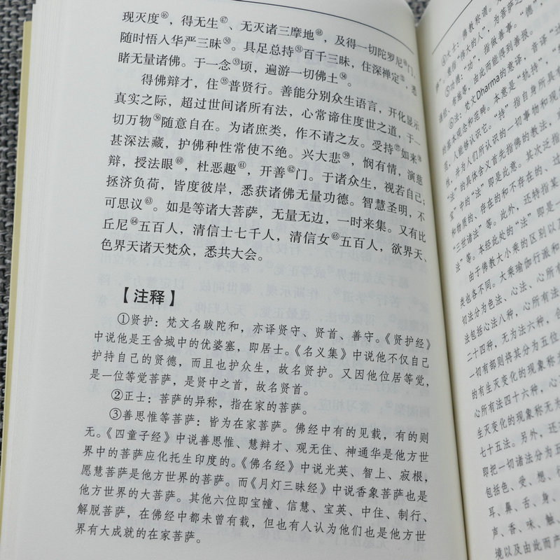 白话无量寿经 全注全译文白对照佛教十三经单本简体原文加注释译文文白对照念诵集经书哲学佛说大乘经典佛学入门佛教文化经典书籍 - 图2