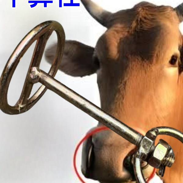 牛鼻栓牵引不锈钢牛鼻栓牛鼻环牛用牵绳扣旋转穿孔钳畜牧养殖工具,淘宝优惠券,粉丝福利购,淘宝优惠卷