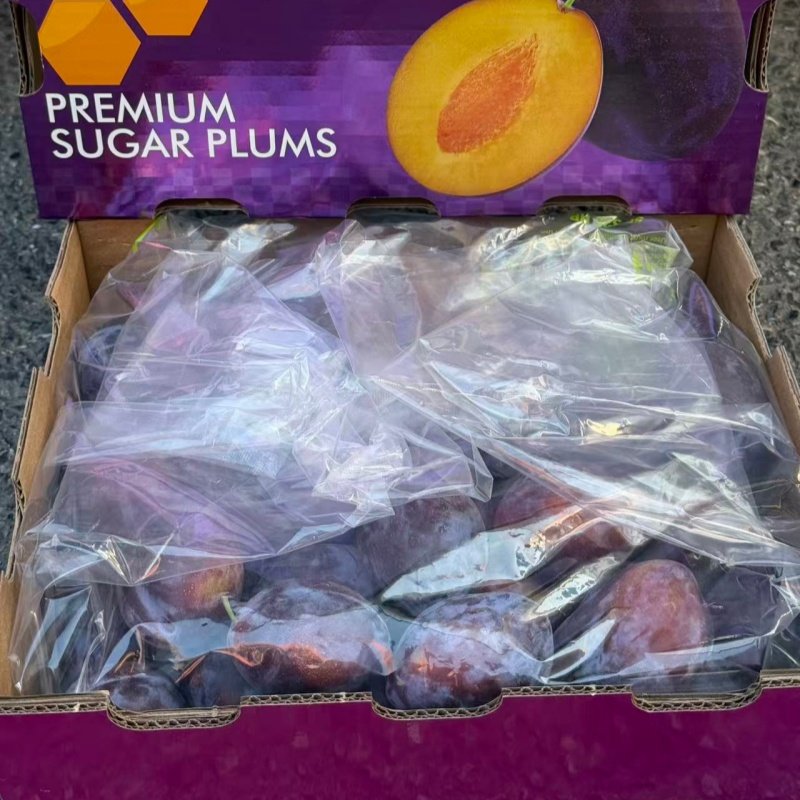 智利进口大西梅法兰西西梅时令新鲜布林李子孕妇水果5斤礼盒,淘宝优惠券,粉丝福利购,淘宝优惠卷