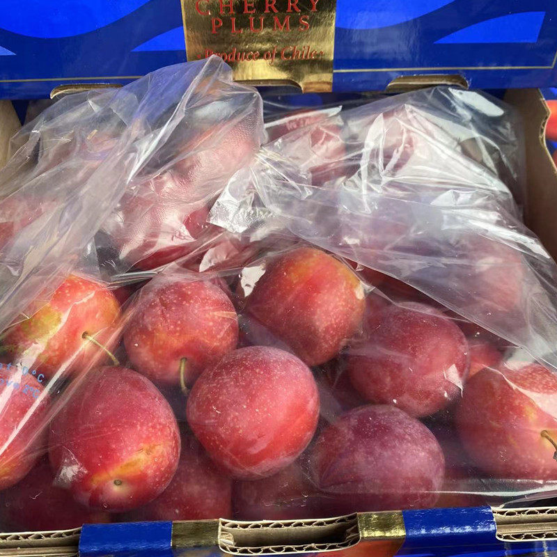 现货智利进口樱桃李纯甜新鲜时令水果大李子5J大果洋李子顺丰礼盒,淘宝优惠券,粉丝福利购,淘宝优惠卷