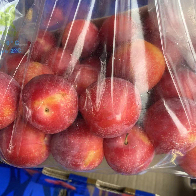 现货智利进口樱桃李纯甜新鲜时令水果大李子5J大果洋李子顺丰礼盒,淘宝优惠券,粉丝福利购,淘宝优惠卷