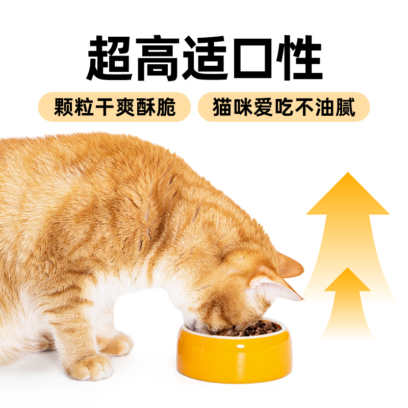 【新品】喜宠屋×滋奇低温烘焙鲜肉猫粮试吃装无谷全价猫粮100g - 图1