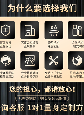 全自动软水机中央净水全屋过滤
