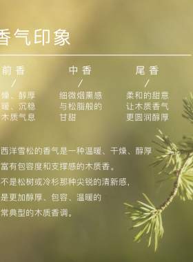 魔天然摩洛哥大西洋雪松精油