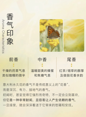 魔天然科西嘉意大利永久花精油