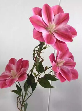 高档花材样板件打印陈列铁线莲3D