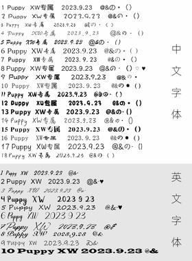 男女外出项圈定制刻字