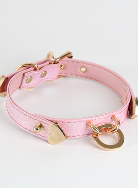 项圈puppy choker小众项圈女蝴蝶扣手作定制刻字女m