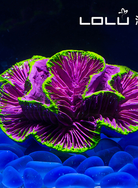 洛鲁仿真花瓶地中海家居摆件珊瑚