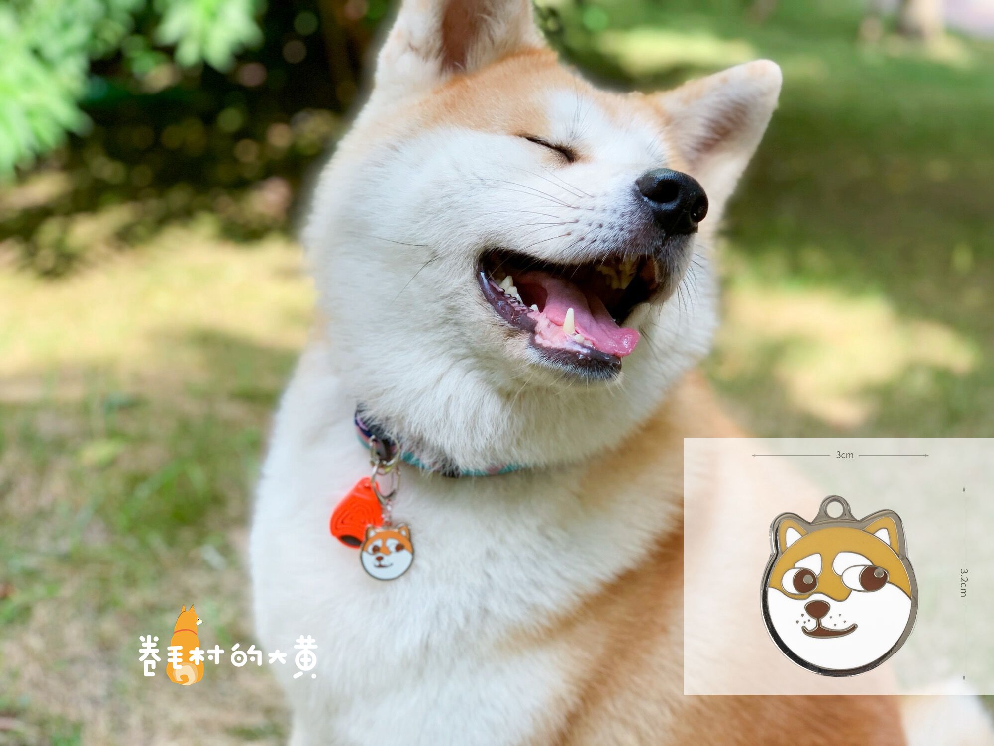 Woofcard 狗牌定制 宠物防丢名牌刻字 金属狗狗吊坠 防走失 猫牌 - 图2