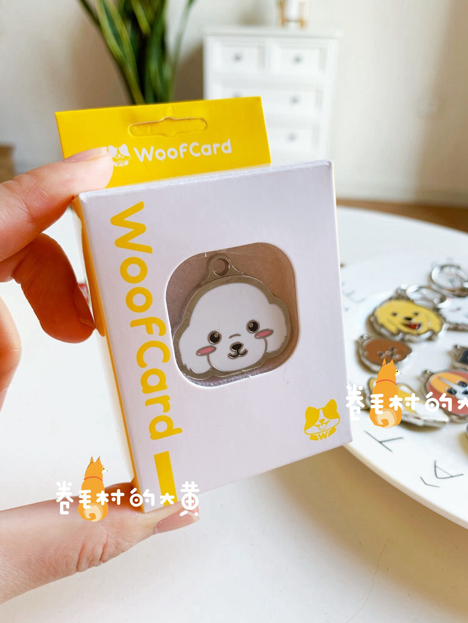 Woofcard 狗牌定制 宠物防丢名牌刻字 金属狗狗吊坠 防走失 猫牌 - 图1