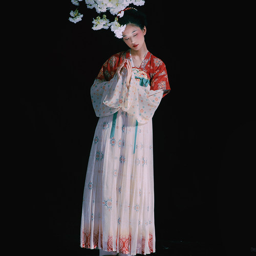重回汉唐花想容颜唐制褙子齐胸衫裙襦裙直领对襟广袖衫汉服女夏 - 图2