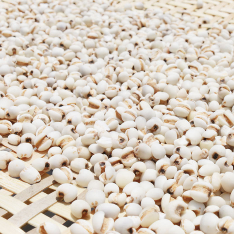 Farmer's Barley Kernel New Arrival White Fresh 500g