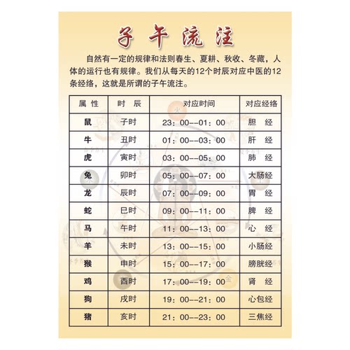 十二经络对应时辰时间展板 子午流注对照表海报 中医理论知识背胶 - 图3