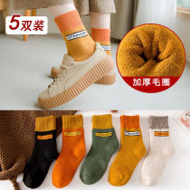 5 Pair Socks Lady Thickened Woolen Socks Autumn Winter Style Midbarrel Socks Breathable warm anti-cold towel socks Sport Long Sox