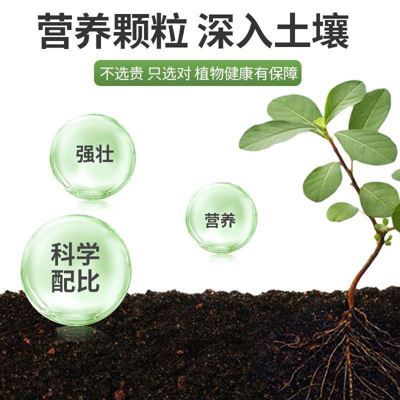 复合肥农用果树盆栽氮磷钾花肥料通用型种菜绿植硫酸镁三元肥料 - 图1