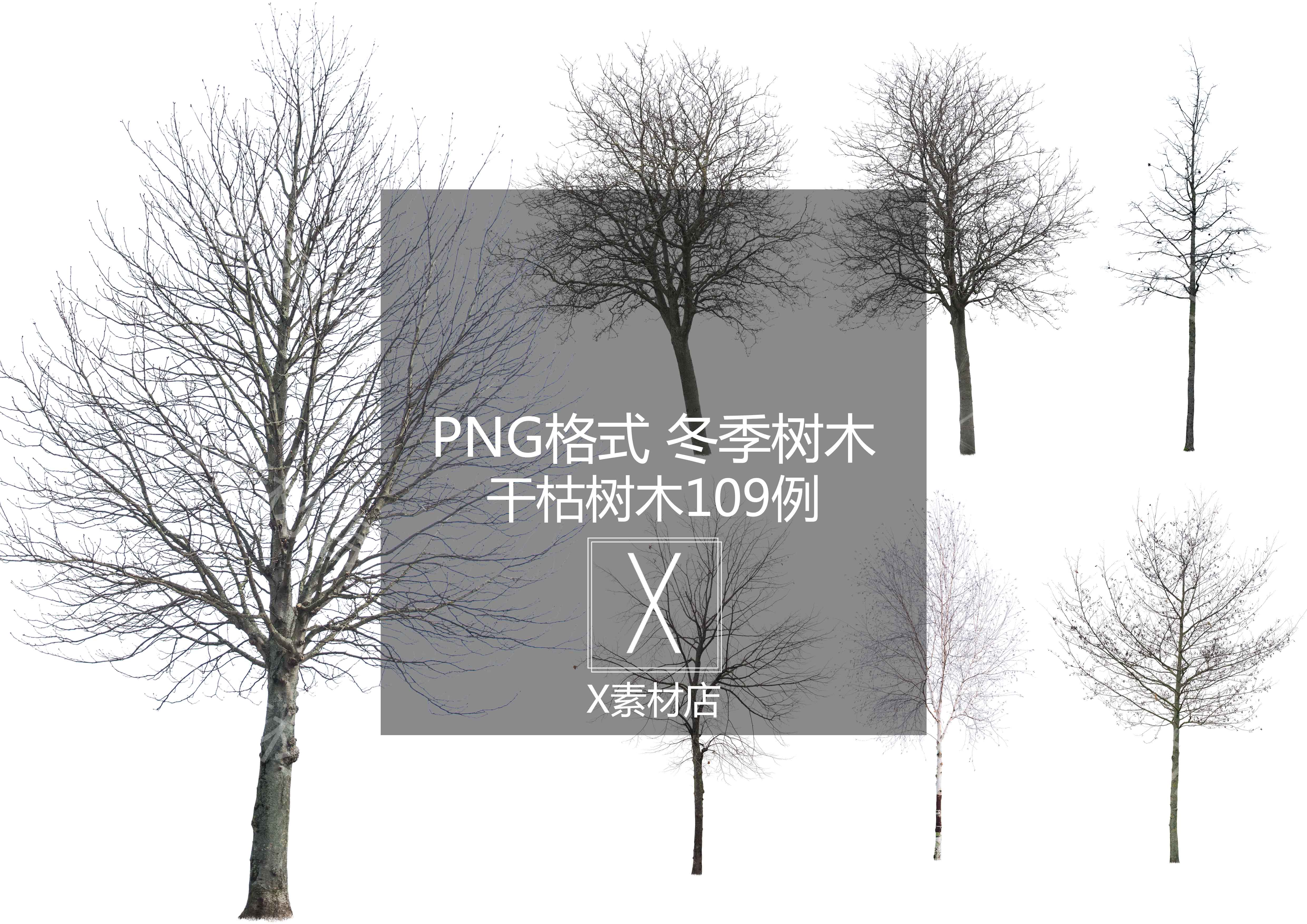 PNG 冬季落叶和干枯树木雪植物景观建筑设计效果图后期素材 - 图0