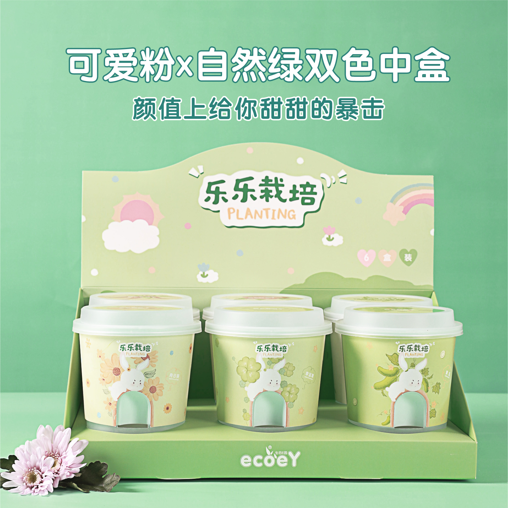 ECOEY幼儿园植物小盆栽儿童DIY含羞草土培草莓苗种子种植观察杯盒 - 图1