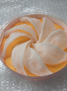 模型橱柜拍摄道具摆件