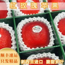 New Zealand imports red rose apple crisp sweet and juicy holiday delivery with 12 high-end annual goods gift boxes Shunfeng