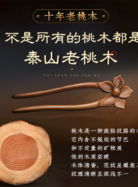 u型发簪檀木女新中式簪子