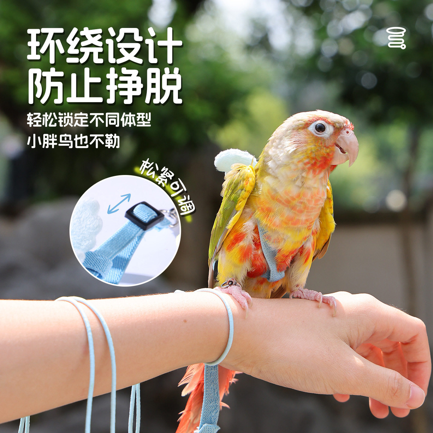 鹦鹉放飞外带绳不伤脚遛鸟神器牡丹玄凤虎皮遛鸟绳鹦鹉用品背带式,淘宝优惠券,粉丝福利购,淘宝优惠卷