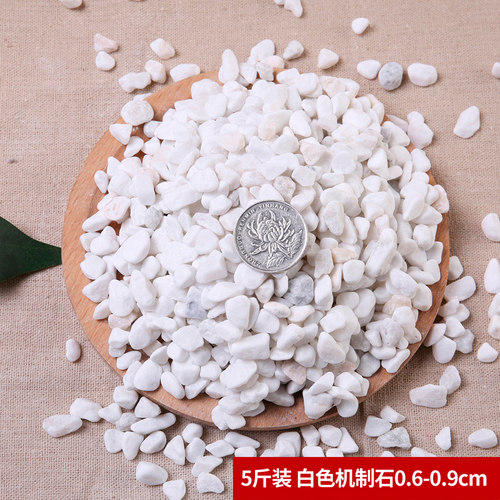 鹅卵石天然雨花石小白石子多肉铺面石盆栽花盆鱼缸庭院白色石头 - 图1