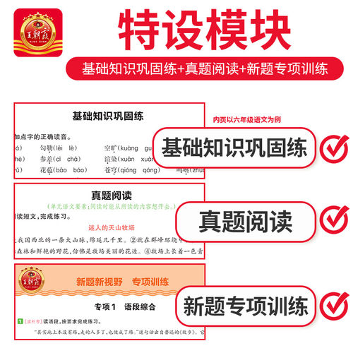 2025秋上王朝霞德才兼备专业创新设计六年级上册语文部编人教版数学北师苏教版英语剑桥版课堂笔记提优作业同步练习册思维训练 - 图1