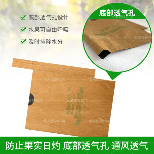 枇杷专用套袋芒果袋子防鸟虫纸袋莲雾橙子袋柠檬果袋套柚子保护袋 - 图2