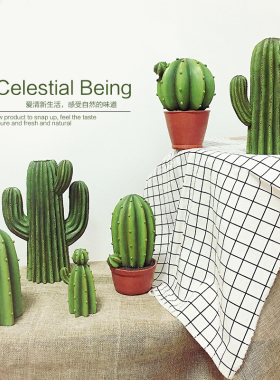 仙人掌盆栽办公室桌面绿植装饰品