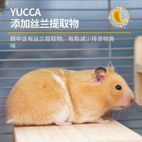 ECO Forest牧光森林仓鼠粮主食粮金丝熊主粮侏儒粮零食饲料增肥 - 图1