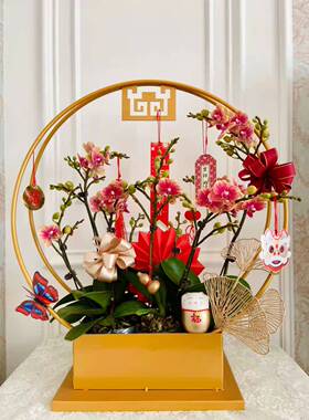 中式元宵花架春节银柳蝴蝶兰花盆