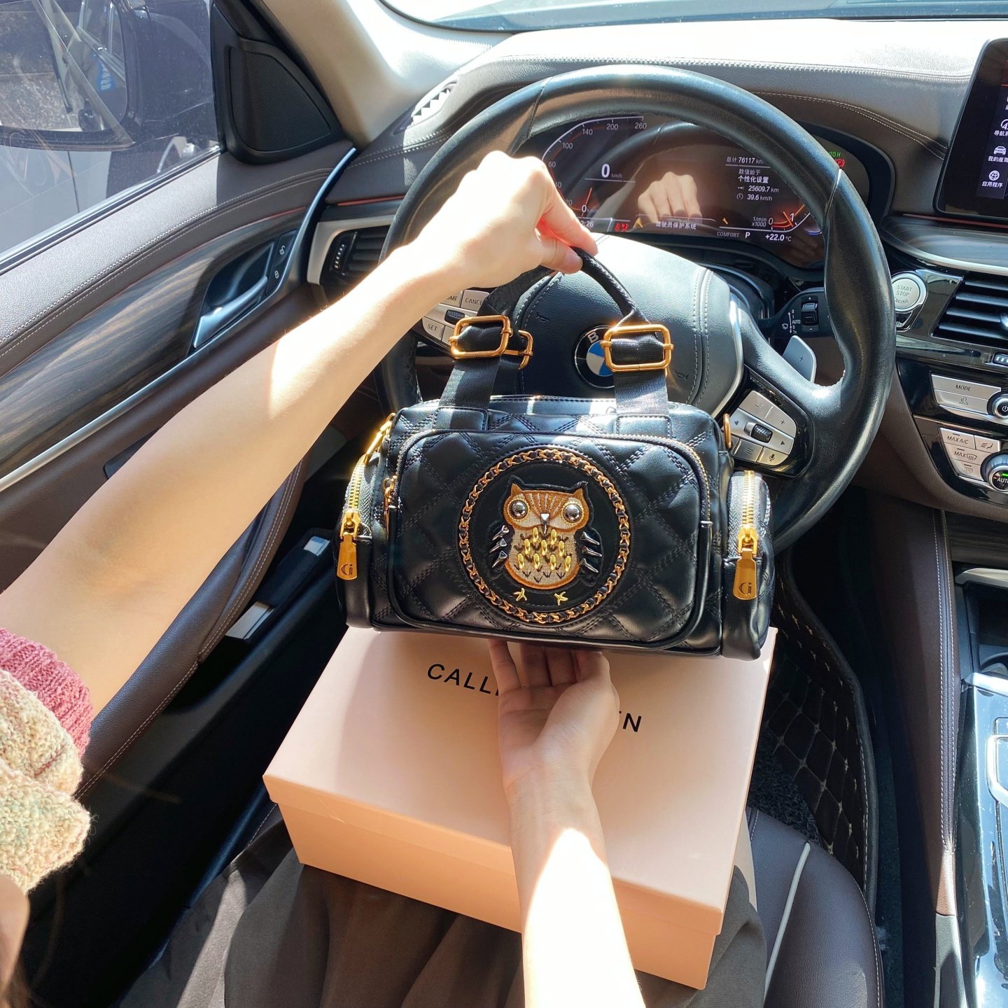 CallmeKitten高级感重工猫头鹰刺绣波士顿包包2025新款轻奢枕头包,淘宝优惠券,粉丝福利购,淘宝优惠卷