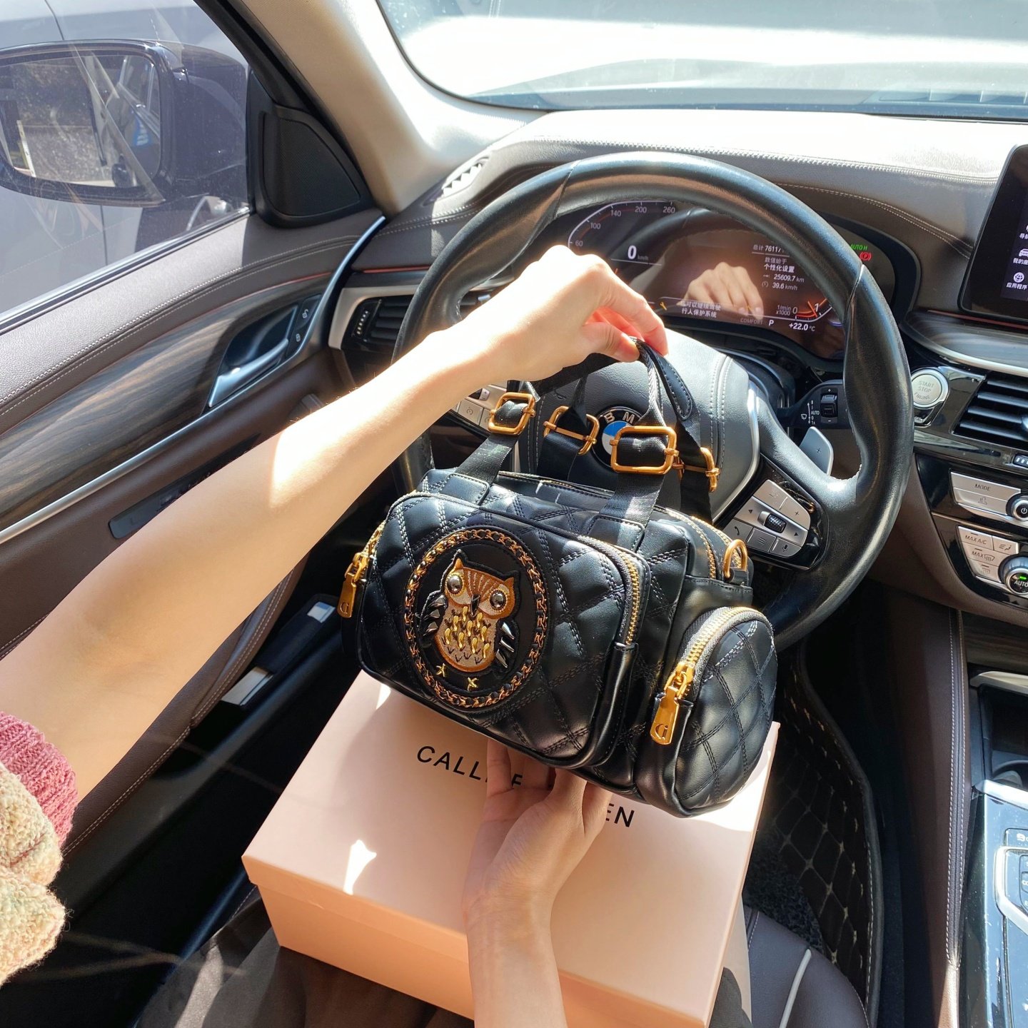 CallmeKitten高级感重工猫头鹰刺绣波士顿包包2025新款轻奢枕头包,淘宝优惠券,粉丝福利购,淘宝优惠卷