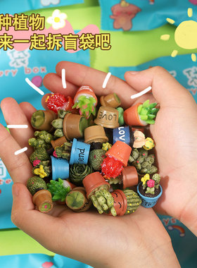 多肉植物盲袋微观盆栽模型