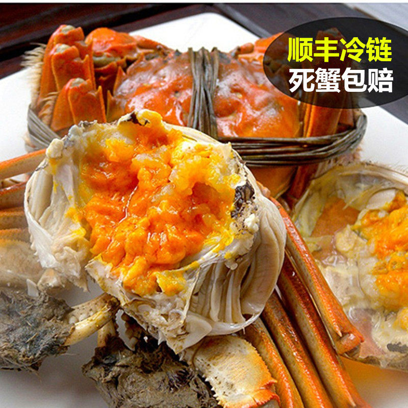 【去绳净重】江苏精品缺腿特大残蟹固城湖大闸蟹鲜活现货公母螃蟹,淘宝优惠券,粉丝福利购,淘宝优惠卷