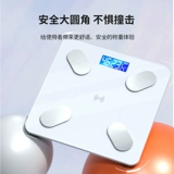 Шкалы жира в организме Специальные и точные весовые веса измерения Bluetooth Измерение жира.