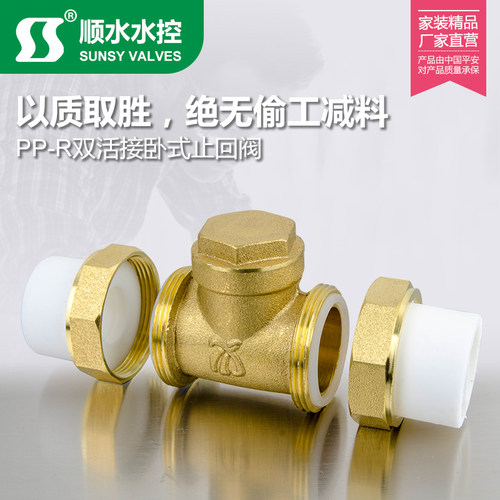 双热熔活接单向卧式逆止PPR黄铜止回阀自来水管4分6分1寸20 25 32 - 图2