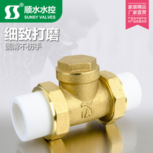双热熔活接单向卧式逆止PPR黄铜止回阀自来水管4分6分1寸20 25 32 - 图3