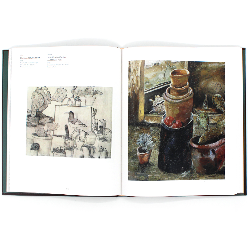 现货包邮 Lucian Freud Herbarium 卢西安·弗洛伊德画作 75幅植物标本作品画集 植物生命素描 精致写实主义手法 英文原版