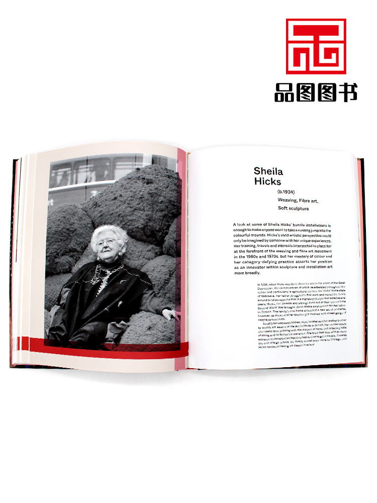 现货包邮 Women's Work: From feminine arts to feminist art 女性作品:从女性艺术到女权主义艺术 当代艺术册 英文原版 - 图2