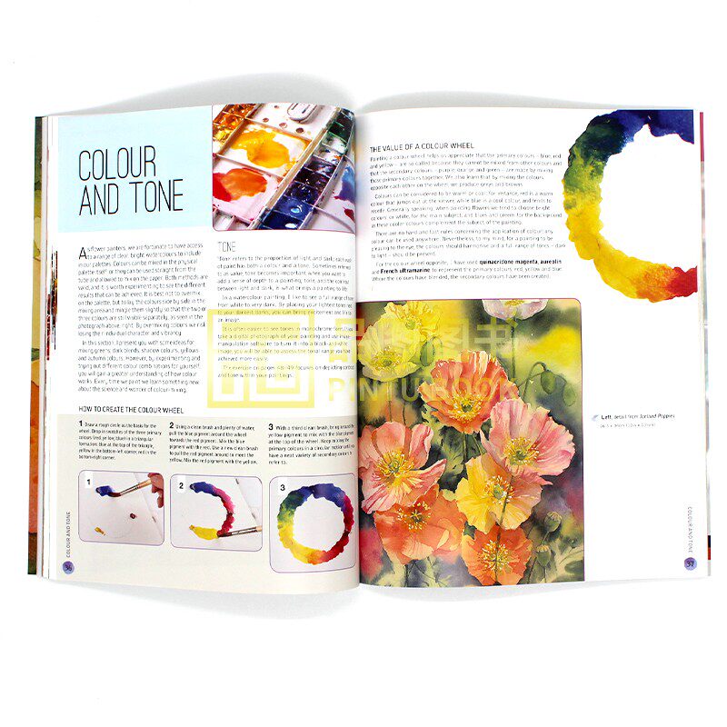 现货 Ready to Paint in 30 Minutes: Flowers in Watercolour 水彩画花卉初学者指南 简单基础花朵不同形状颜色技术学习 英文原版