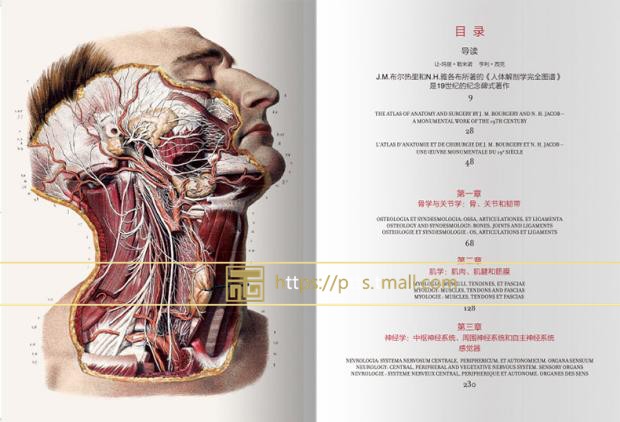 现货包邮中英对照版Taschen原版引进Altas of Human Anatomy人体解剖图谱真人比例人体手绘手稿艺术画册700余幅彩色图谱832页画册-图0