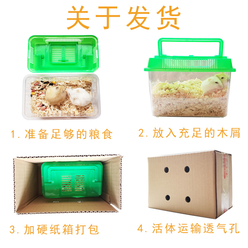小仓鼠活物已打疫苗活体一对情侣送笼子三线银狐长毛金丝熊小宠物 - 图2