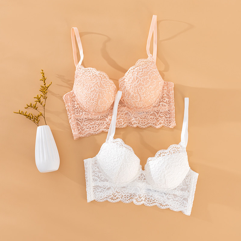 歌力诺性感纯欲夏季法式白色内衣 歌力诺文胸